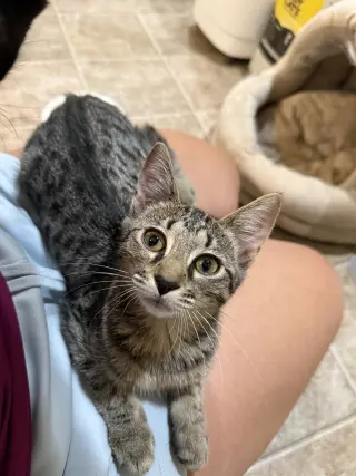 Jitters