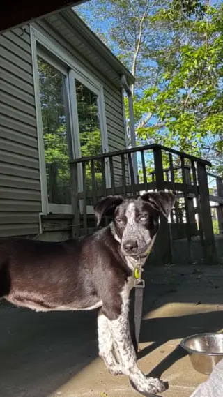 TILLY