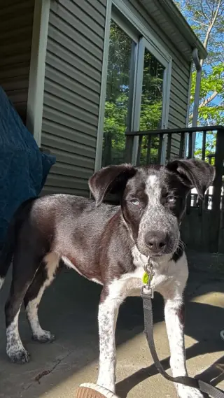 TILLY