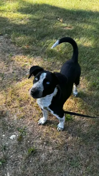 TILLY