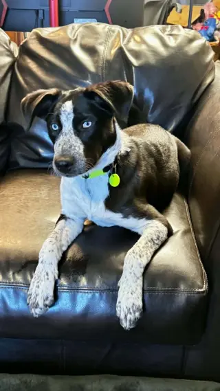 TILLY