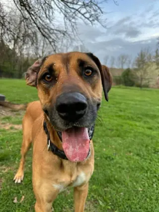 Duke