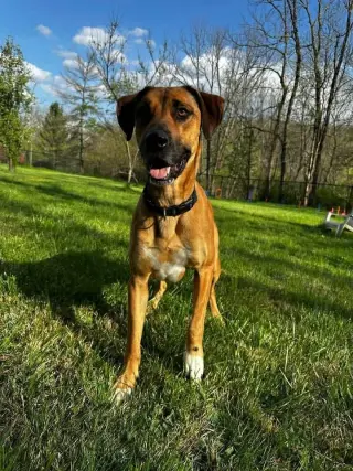 Duke