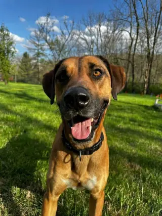 Duke