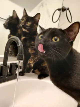 Cherie