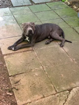 George - Survival to Safety! Not a mean bone.