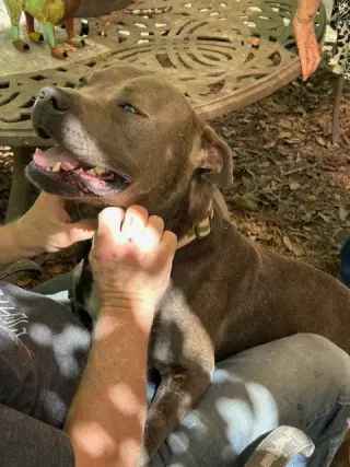 George - Survival to Safety! Not a mean bone.