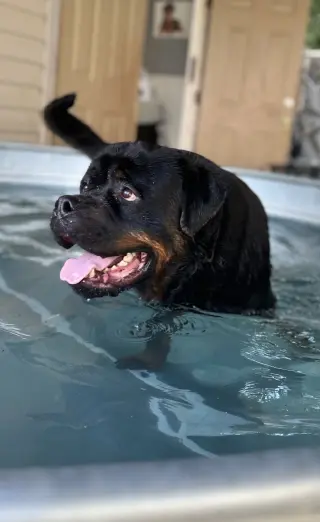 Big Poppa