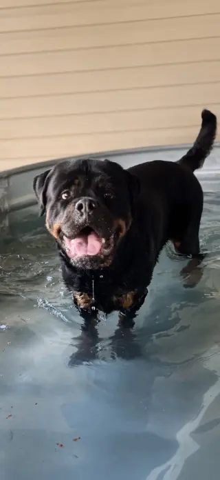 Big Poppa