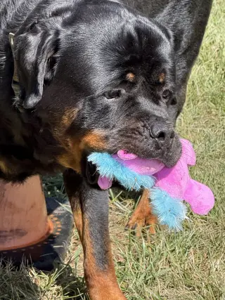 Big Poppa