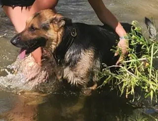 Duncan