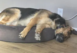 Duncan
