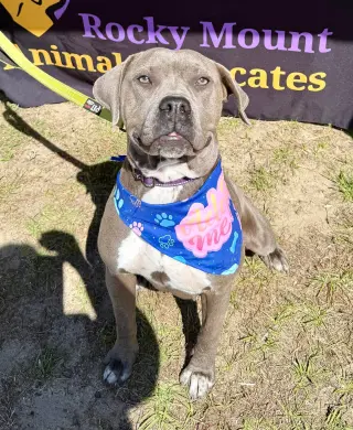Lil Mama