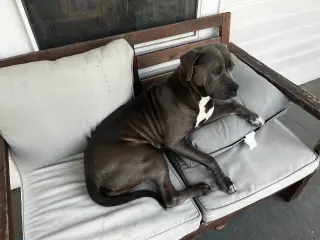 Lil Mama