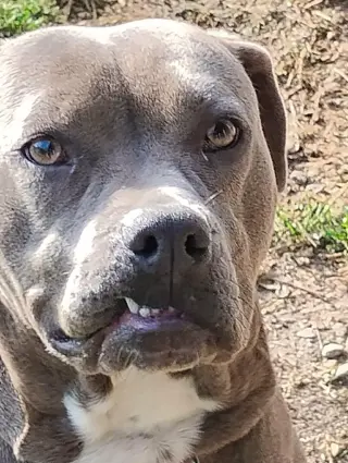 Lil Mama