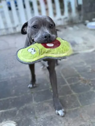 Lil Mama