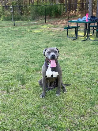 Lil Mama