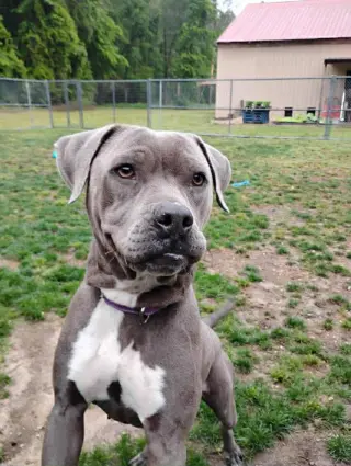 Lil Mama