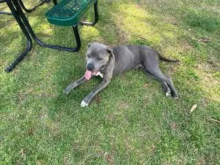 Lil Mama