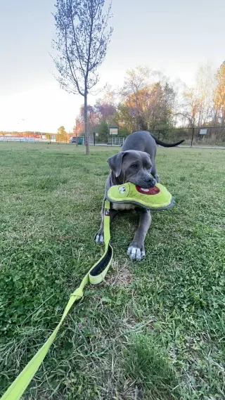 Lil Mama