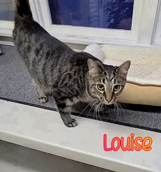 Louise