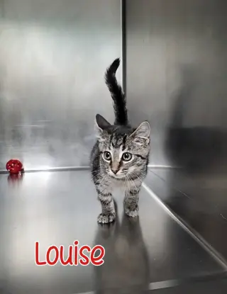 Louise