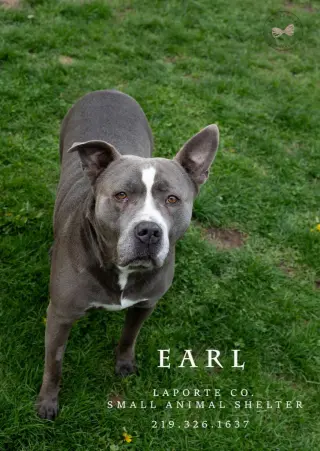 Earl