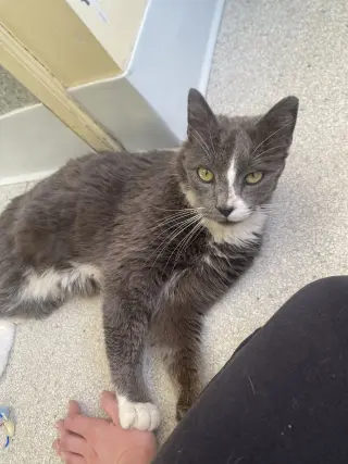 Gary