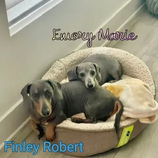 Emory Marie+