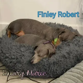 Emory Marie+