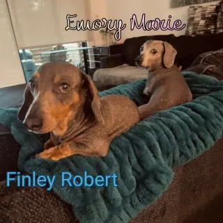Emory Marie+
