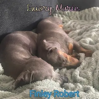 Emory Marie+