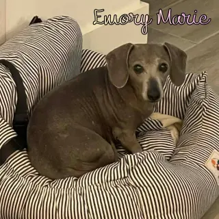 Emory Marie+