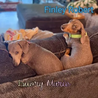 Emory Marie+