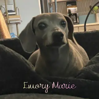 Emory Marie+