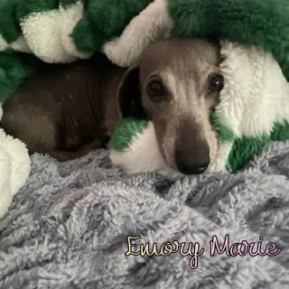 Emory Marie+