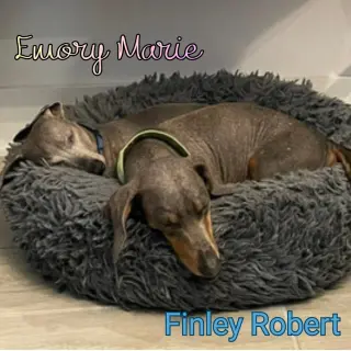 Emory Marie+