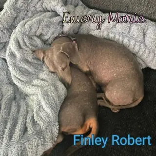 Finley Robert+