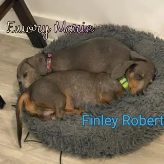 Finley Robert+
