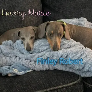 Finley Robert+