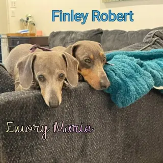 Finley Robert+