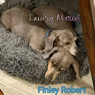 Finley Robert+