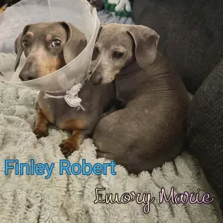 Finley Robert+