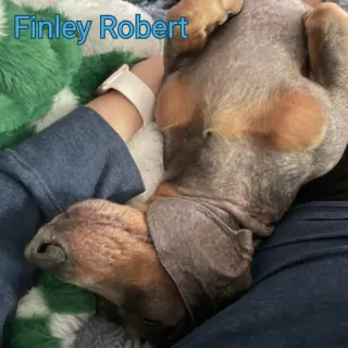 Finley Robert+
