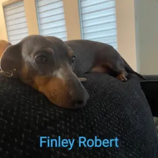 Finley Robert+