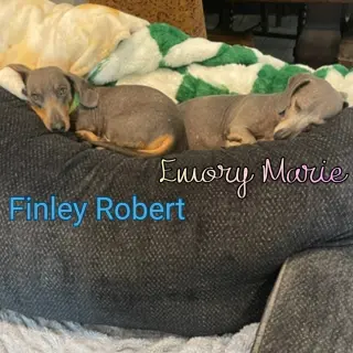 Finley Robert+