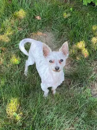 Milton