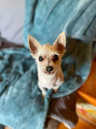 Milton