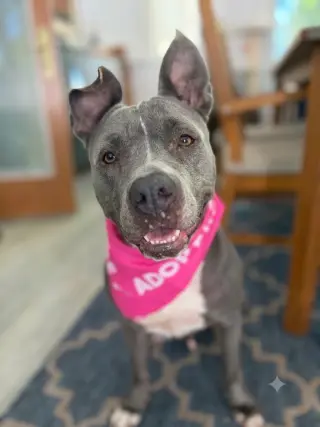 Lola