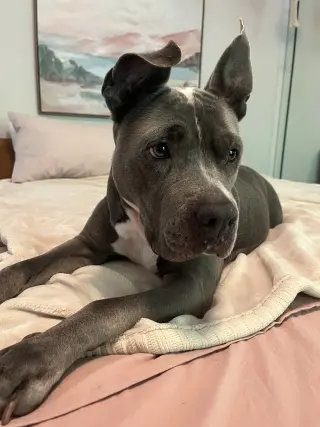 Lola